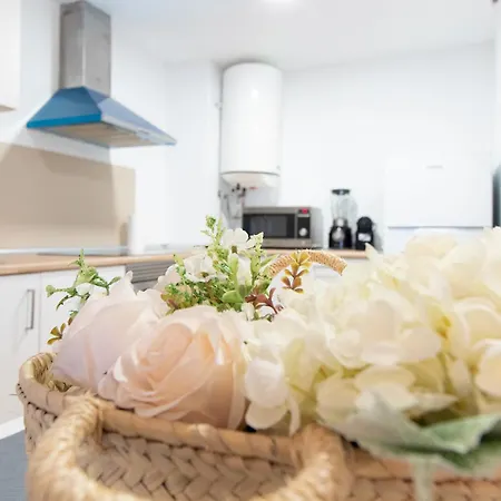 Global Properties, Resplandeciente En Canet